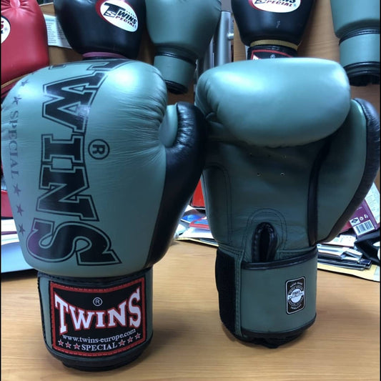 Twins Special Thai Boxing Gloves - BGVL3-2TA Blue