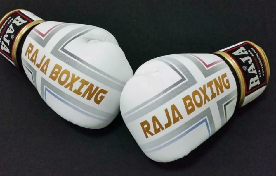 Raja Thai Boxing Gloves - White Fancy - Leather